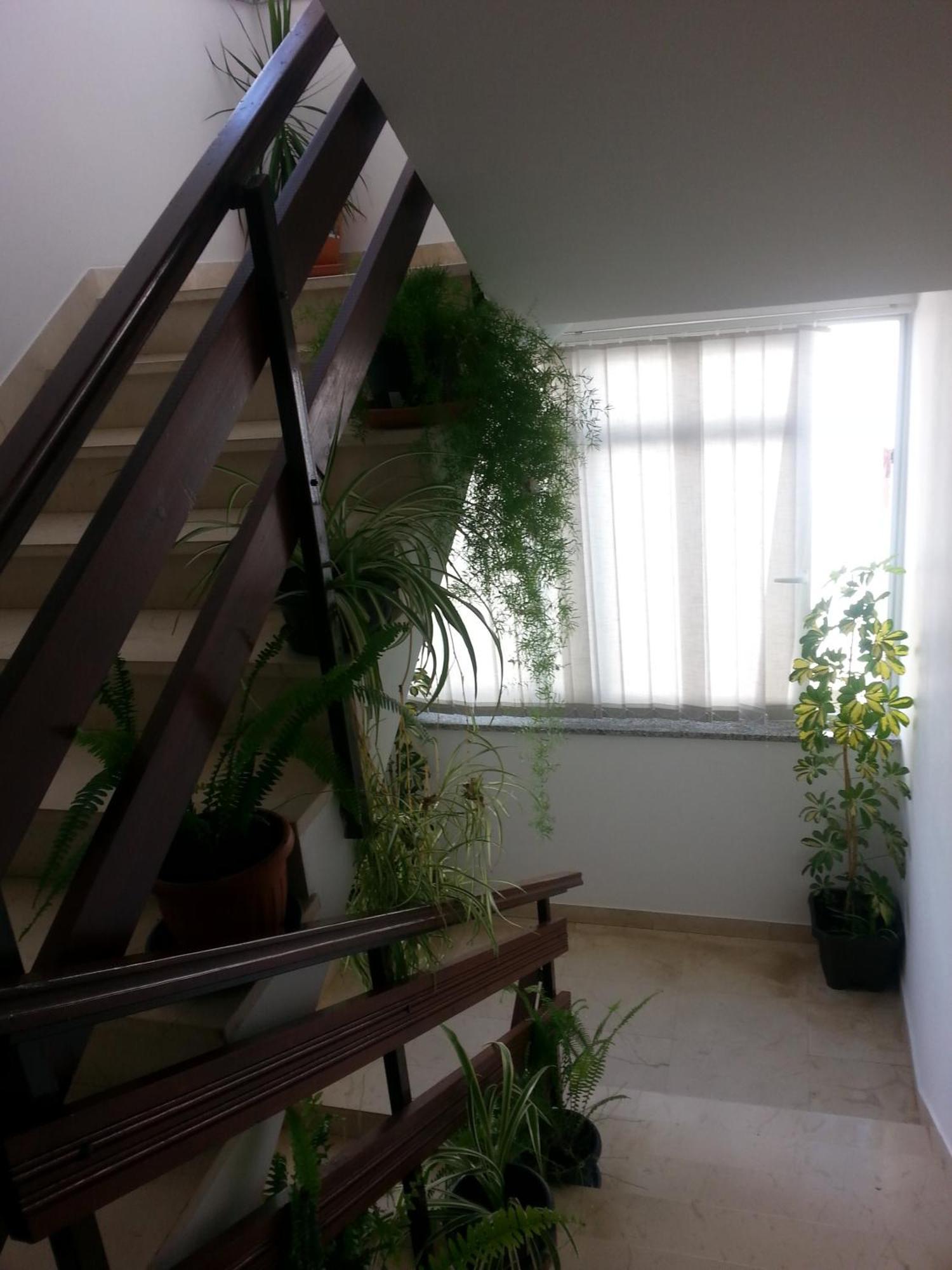 Apartments Roncevic ซาดาร์ ภายนอก รูปภาพ